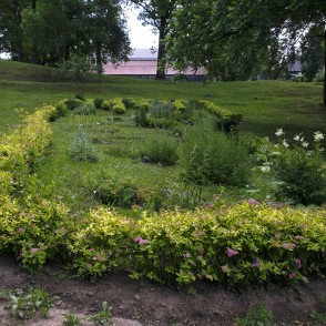 Ārstniecības augu pēda (Mīlestības taka) Ārstniecības augu pēda (Mīlestības taka)