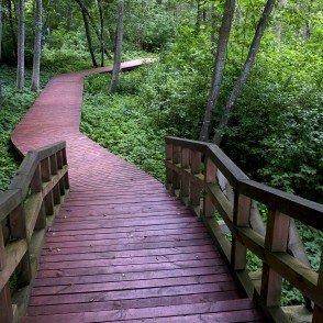 Mīlestības taka Viesītē Mīlestības taka Viesītē