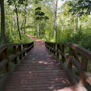 Mīlestības taka Viesītē Mīlestības taka Viesītē