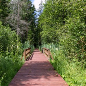 Mīlestības taka Viesītē Mīlestības taka Viesītē