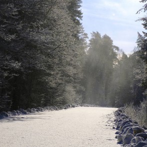 No One has Traveled to Mušķi this Morning! No One has Traveled to Mušķi this Morning!