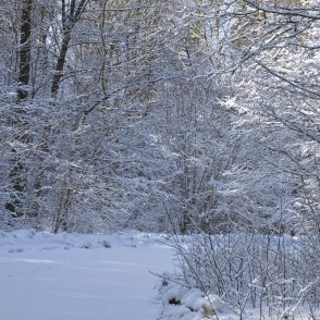 Snowy Road to Mušķi on March Morning Snowy Road to Mušķi on March Morning