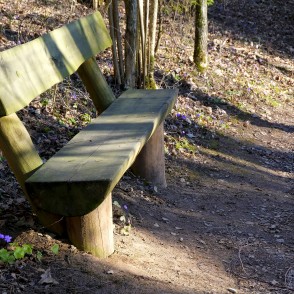 Bench in Barona Trail of Vilce Nature Park Bench in Barona Trail of Vilce Nature Park