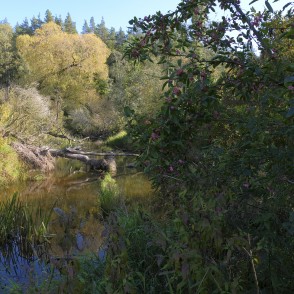 River Svēte near River Vilce estuary River Svēte near River Vilce estuary