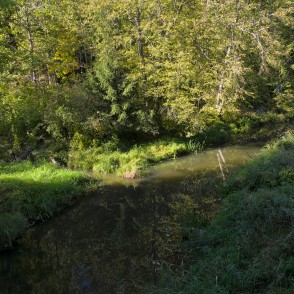 Rukuze estuary in River Vilce Rukuze estuary in River Vilce