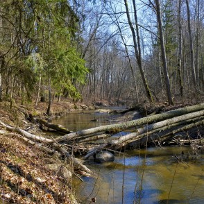 River Vilce in Vilce Ravine River Vilce in Vilce Ravine