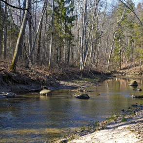 River Vilce in Vilce Ravine River Vilce in Vilce Ravine