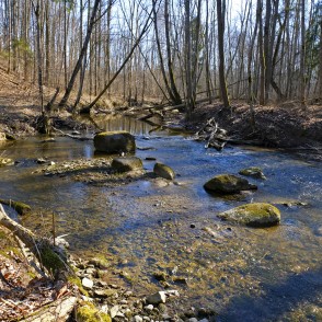 River Vilce in Vilce Ravine River Vilce in Vilce Ravine