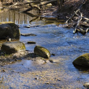 Stones in River Vilce Stones in River Vilce