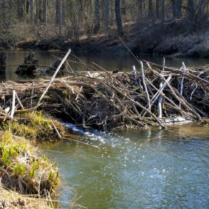 Dike in River Vilce Dike in River Vilce