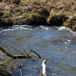 River Vilce Overcomes Obstacles River Vilce Overcomes Obstacles