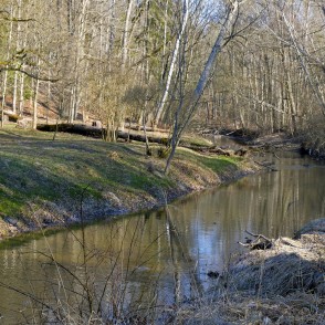 River Vilce in Vilce Ravine River Vilce in Vilce Ravine