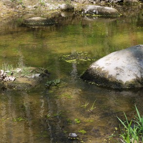 Stones in River Vilce in Vilce Nature Park Stones in River Vilce in Vilce Nature Park