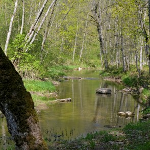 River Vilce in Vilce Nature Park River Vilce in Vilce Nature Park