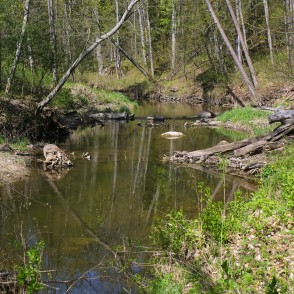 Flow of Vilce through Forests of Vilce Ravine Flow of Vilce through Forests of Vilce Ravine