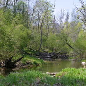 Flow of Vilce through Forests of Vilce Nature Park Flow of Vilce through Forests of Vilce Nature Park
