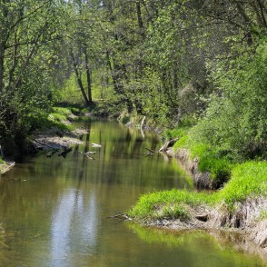 River Vilce in Vilce Ravine at Zaķi Meadow River Vilce in Vilce Ravine at Zaķi Meadow