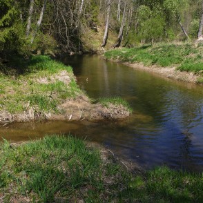 Rukuze estuary in River Vilce at Vilce Hillfort Rukuze estuary in River Vilce at Vilce Hillfort