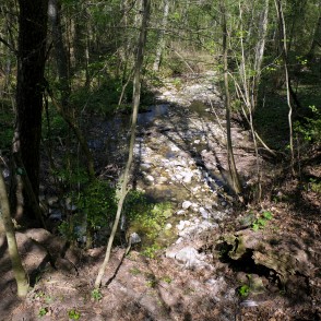 Dried Rukūze Waters Dried Rukūze Waters