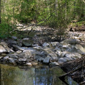 Rocky Rukūze Riverbed at Rukūze Nature Trail in Vilce Nature Park Rocky Rukūze Riverbed at Rukūze Nature Trail in Vilce Nature Park