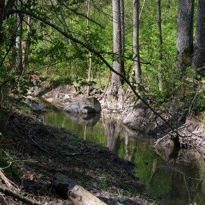 Rukuze in Vilces Nature Park Rukuze in Vilces Nature Park