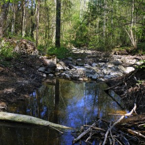Rocky Rukuze Riverbed at Rukuze Nature Trail in Vilce Nature Park Rocky Rukuze Riverbed at Rukuze Nature Trail in Vilce Nature Park