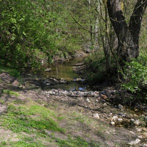 Rukuze near Birzsargi and Pārupes Rukuze near Birzsargi and Pārupes