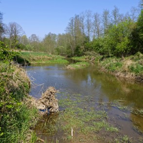 River Vilce in spring at Vilce Nature Park River Vilce in spring at Vilce Nature Park