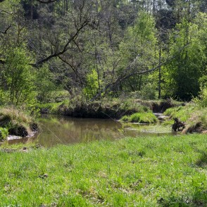 River Igate Estuary in River Vilce River Igate Estuary in River Vilce