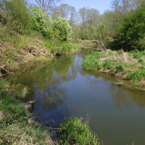 Coasts of Vilce in Spring Coasts of Vilce in Spring