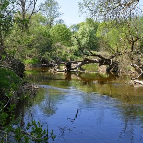 Svēte Down by Vilce estuary Svēte Down by Vilce estuary