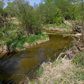 River Vilce estuary in River Svēte River Vilce estuary in River Svēte