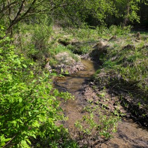 River Igate before Estuary in River Vilce River Igate before Estuary in River Vilce