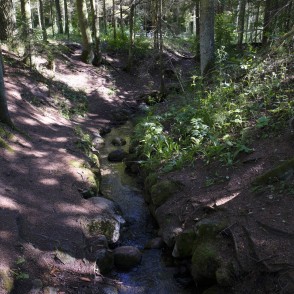 Ķeveles jeb Karaļavoti Ķeveles jeb Karaļavoti