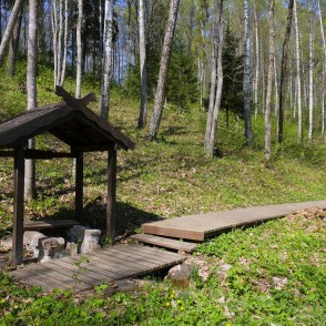 Lielmāte Spring in Vilce Ravine Lielmāte Spring in Vilce Ravine