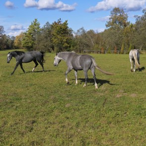 Movement... Movement...