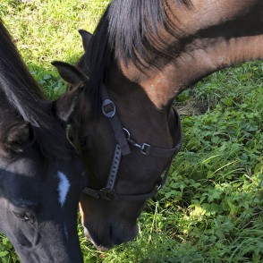 Conversations... Conversations...