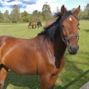 What did you bring me? What did you bring me?