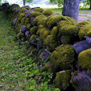 Saukas baznīcas akmens žogs Saukas baznīcas akmens žogs