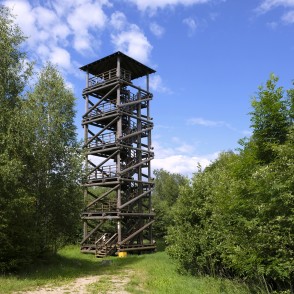 Borīšu kalna (Ormaņkalna) skatu tornis Borīšu kalna (Ormaņkalna) skatu tornis