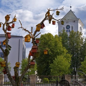 Restaurant ‘Putnu Dārzs’ bird hotel Restaurant ‘Putnu Dārzs’ bird hotel
